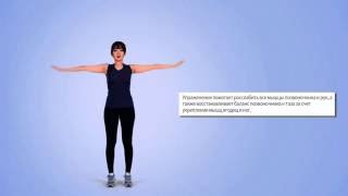 jaseng_stretching_02